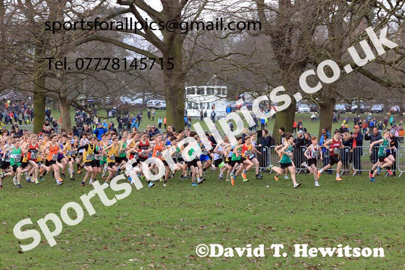 Boys Under-13s, 2024 CAU Inter Counties Cross Country Champs., Wollaton Park, Nottingham. Photo: David T. Hewitson/Sports for All Pics